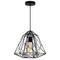 Cwi Lighting Bagheera 1 Light Down Pendant With Black Finish 9625P16-1-101 - alternate 1
